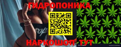 ALPHA PVP Волжск