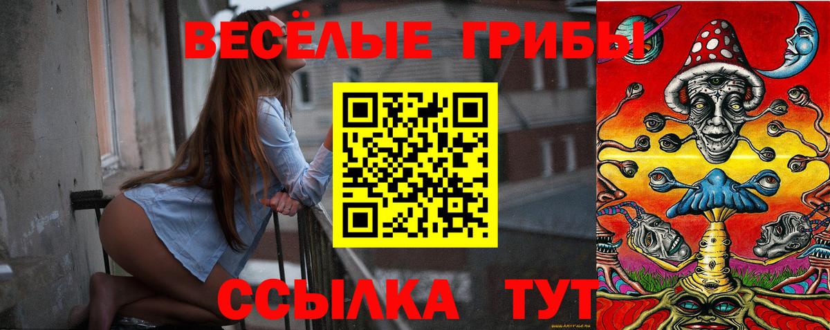 Галлюциногенные грибы GOLDEN TEACHER Новоалександровск