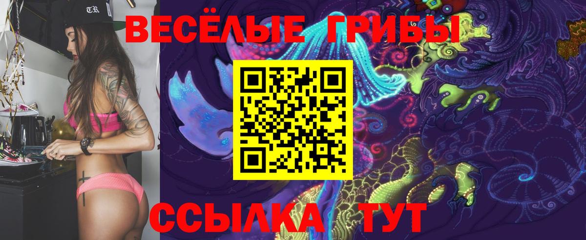 купить   Галлюциногенные грибы Psilocybine cubensis  Вход с VPN  Новоалександровск 